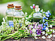 Bildquelle: daffodilred – stock.adobe.com